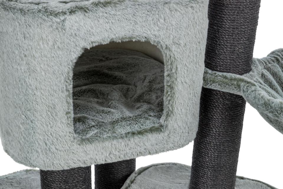 Trixie Miguel kradsetræ