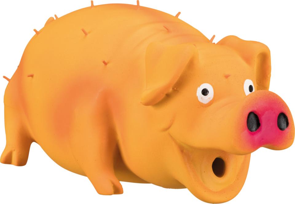 Bristle Pig