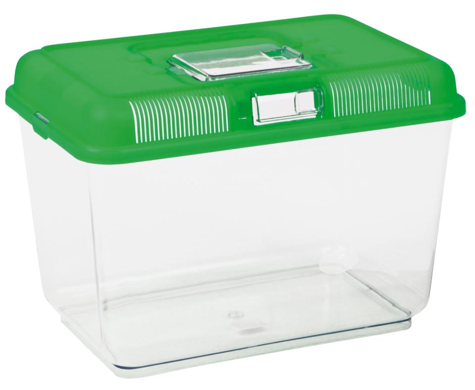 Transport and Feeding Box