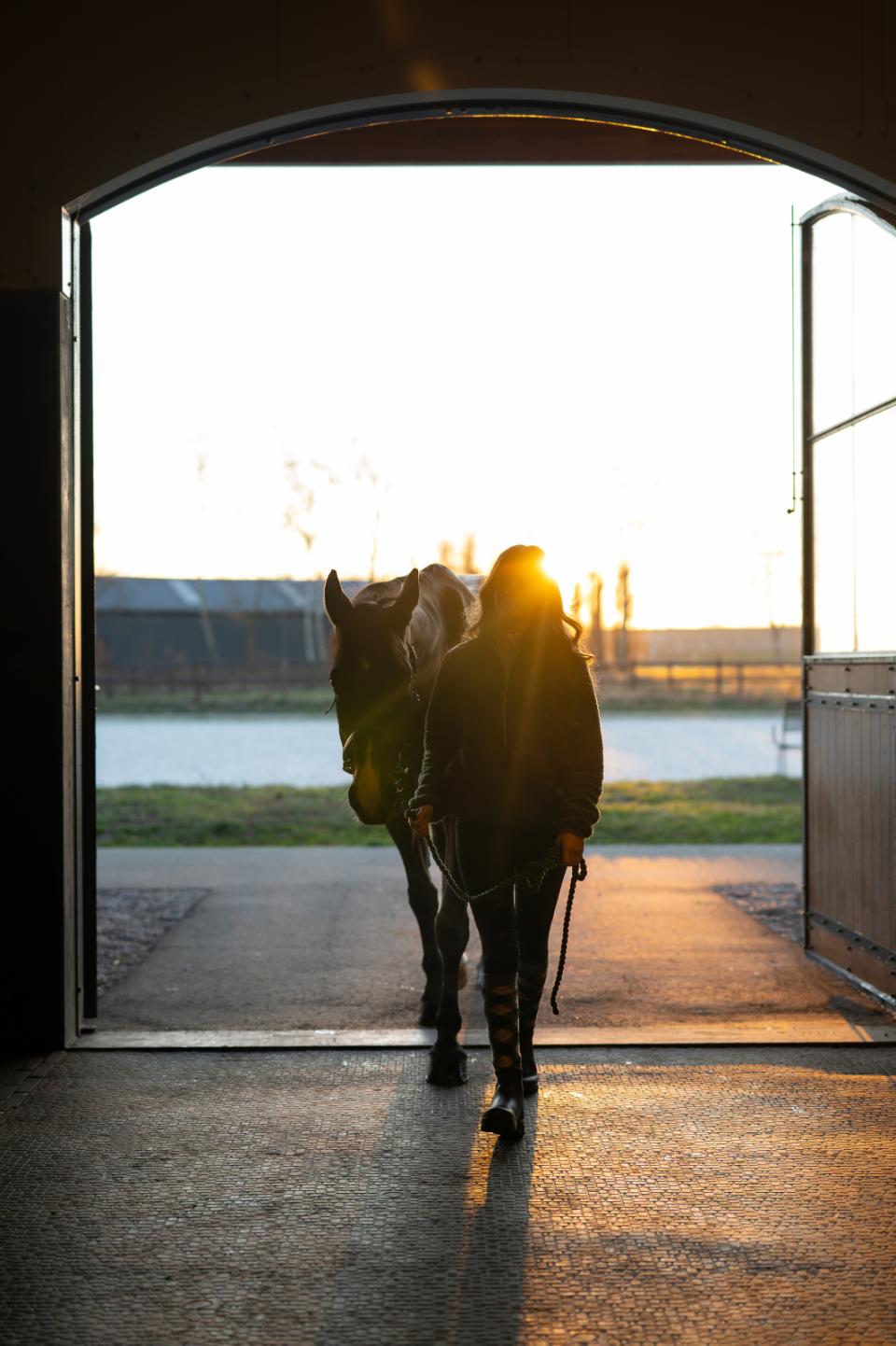 Equipage Lax Reitsocken