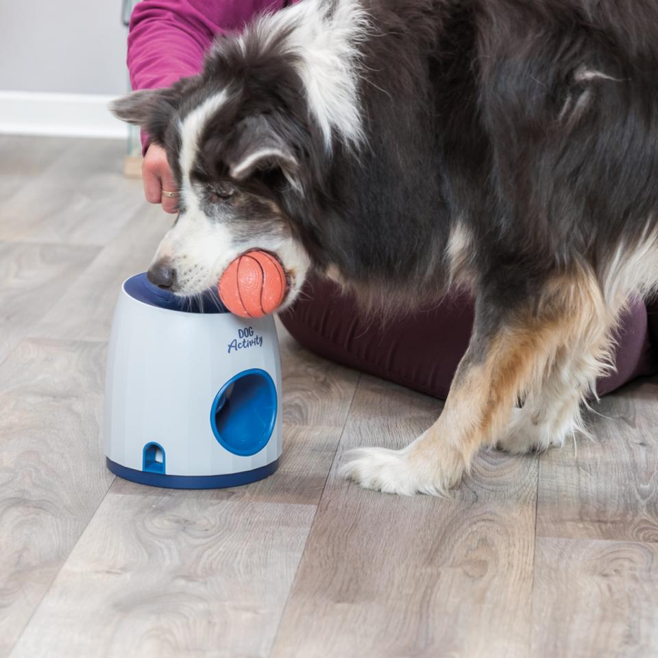 Dog Activity Ball & Treat strategy game