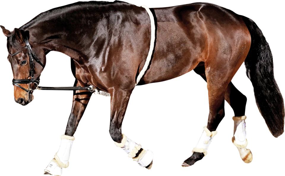 HorseGuard Soft longeringshjälp