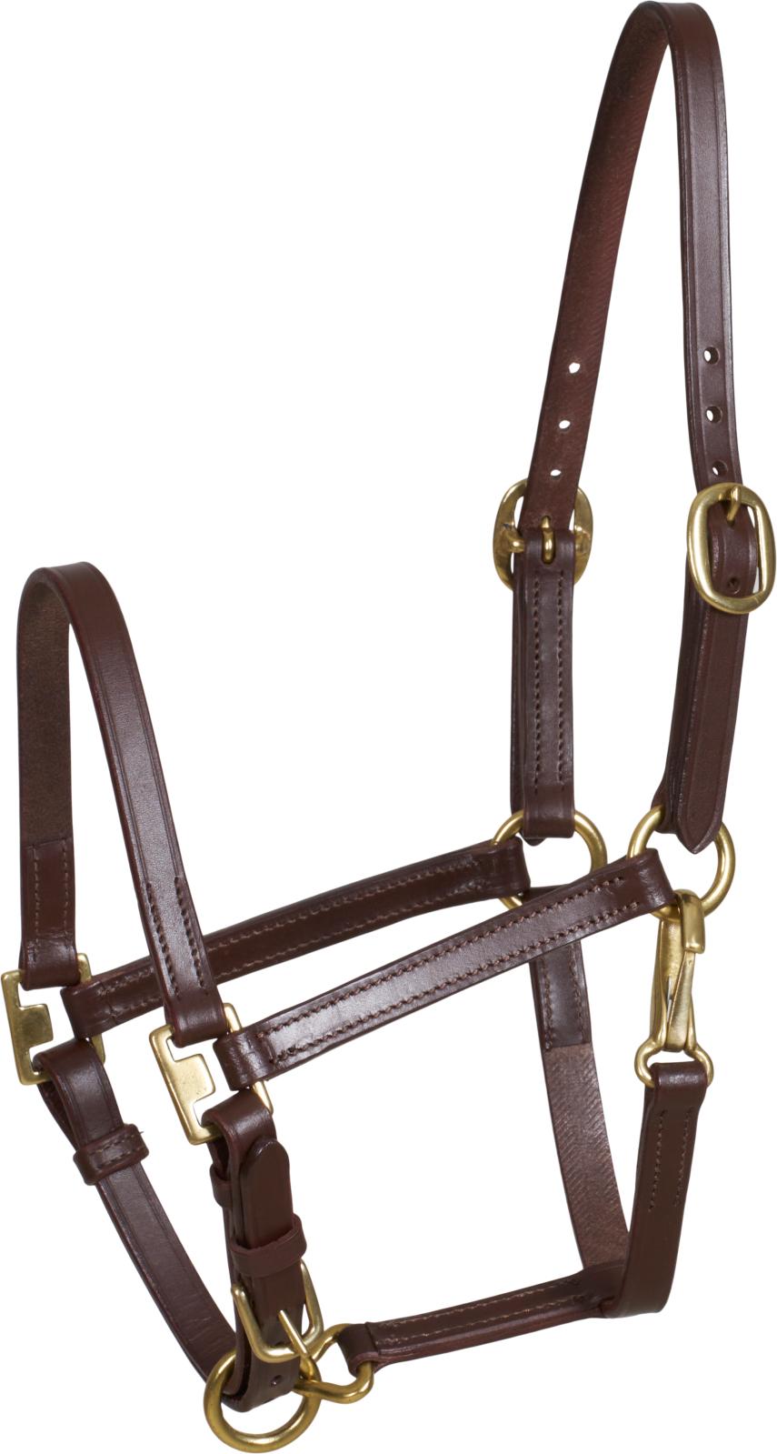 HorseGuard Cheval Fohlenhalfter