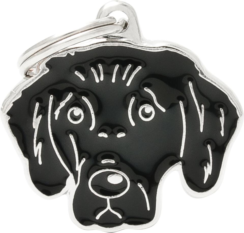 MyFamily Friends, Flat-coated Retriever