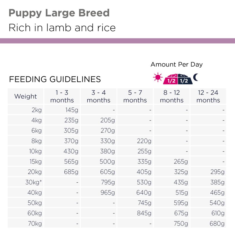 EUKANUBA Puppy Large Breed Lamm & Ris
