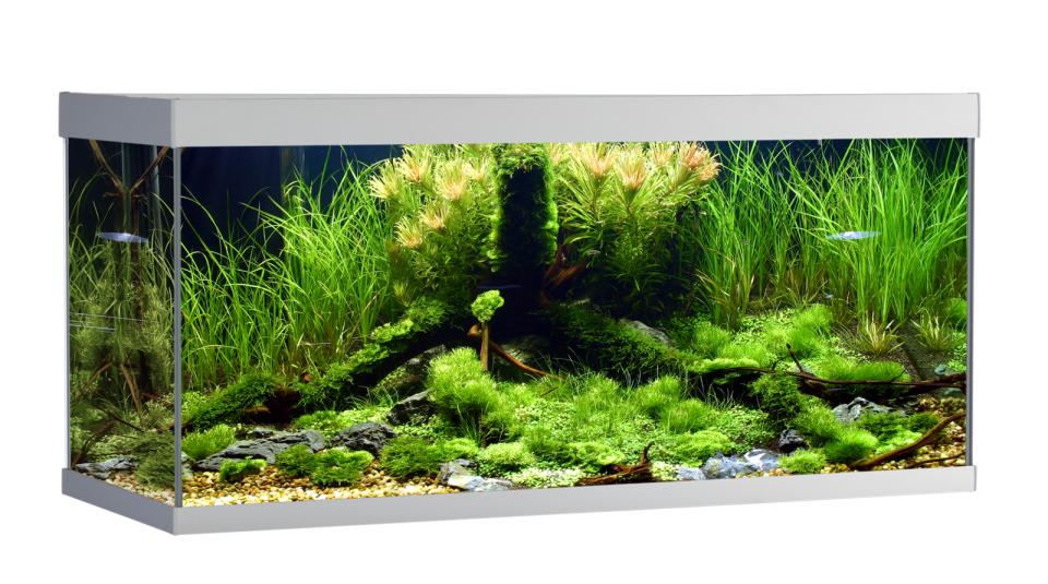AkvaStabil ELEMENT Aquarium