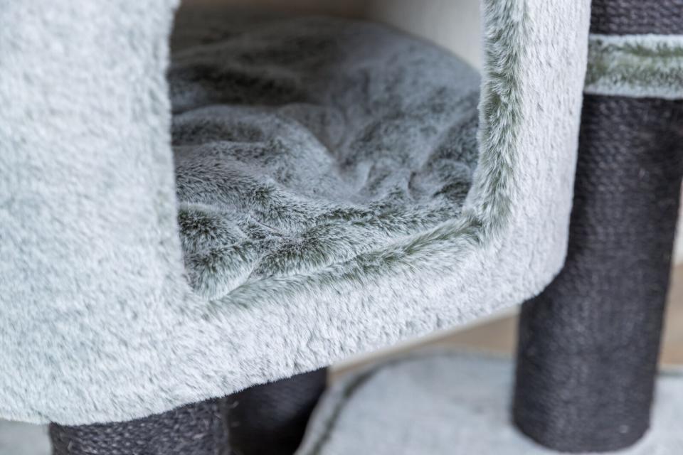 Trixie Miguel kradsetræ