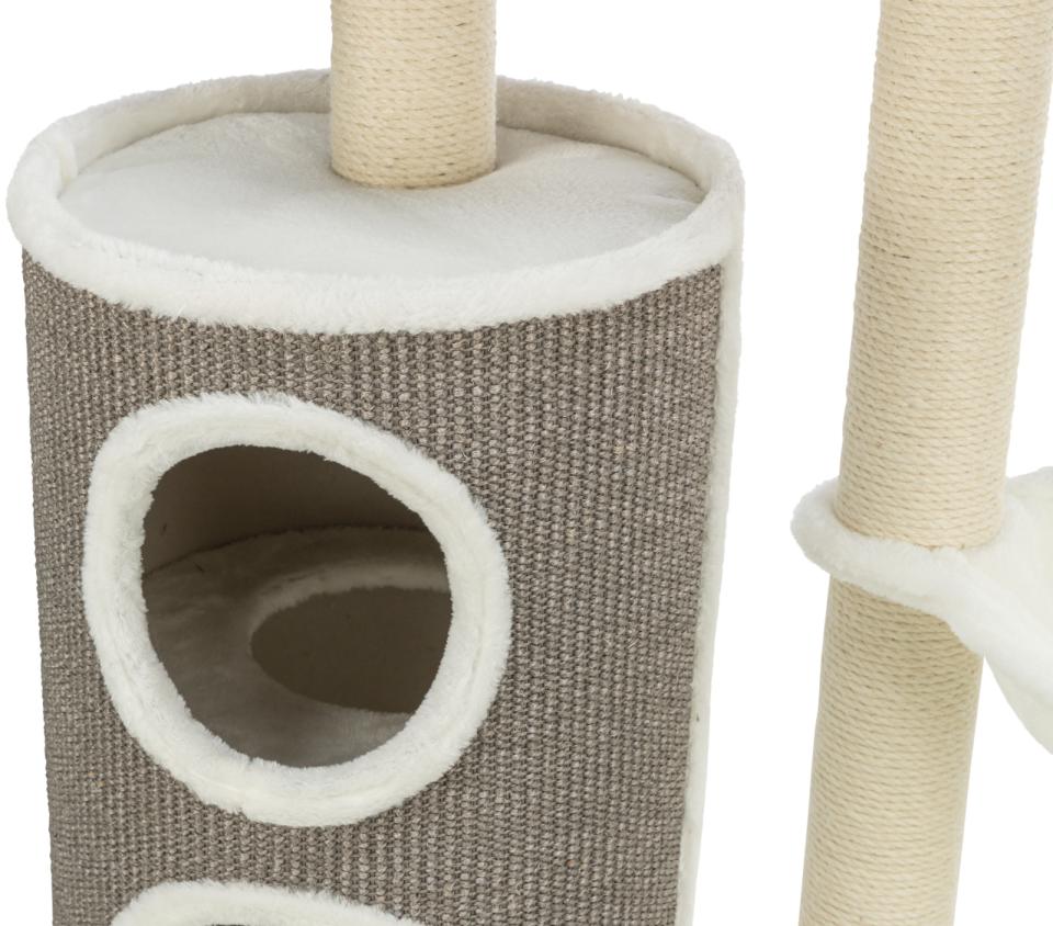 Trixie Dante scratching tree