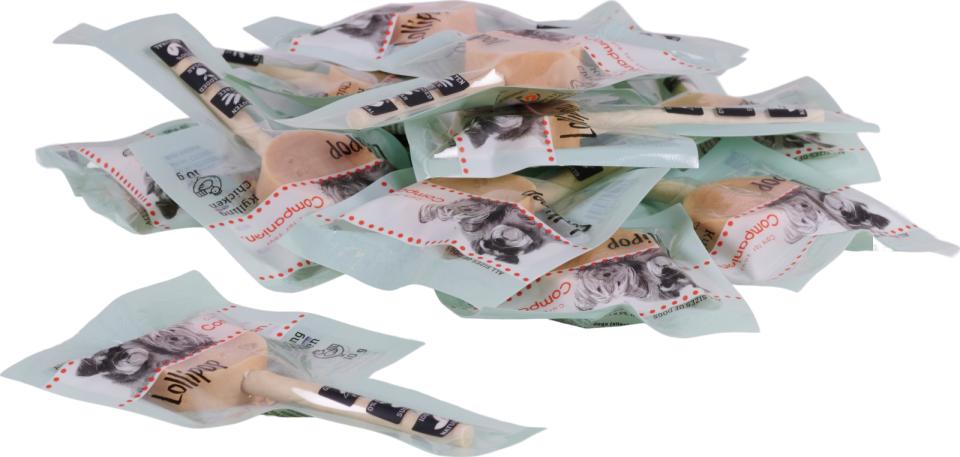 Companion Lollipop Hähnchen