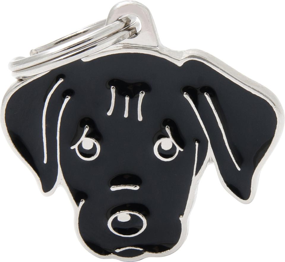 MyFamily Friends, Labrador retriever