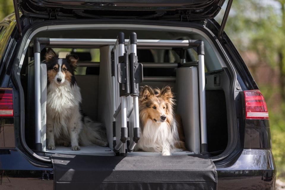 Trixie Doppel-Transportbox