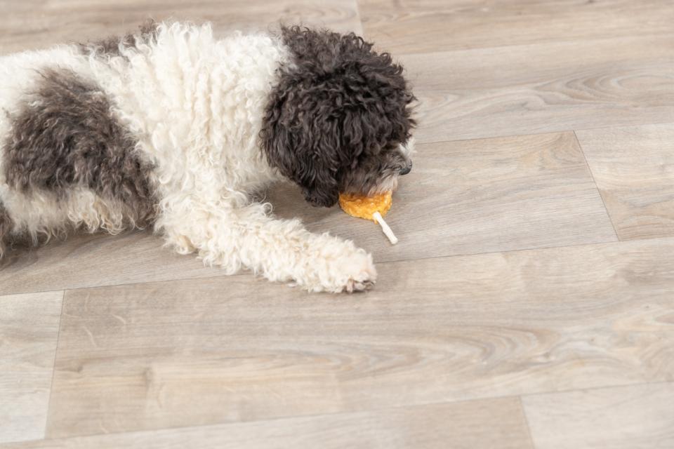 Trixie PREMIO Lolly with chicken and rice