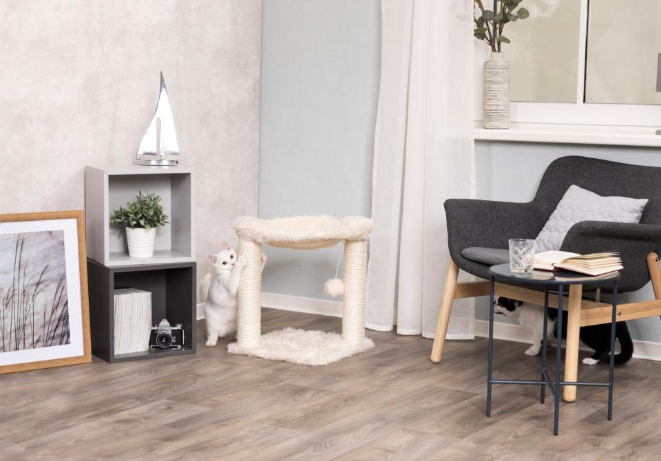 Baza Scratching Post