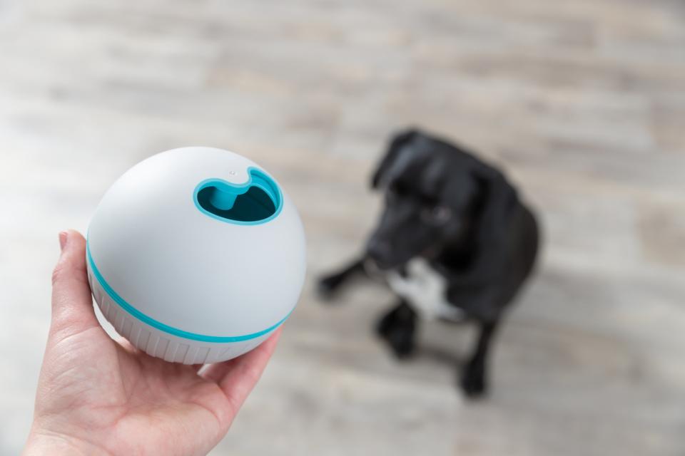 Trixie Snackbold i plastik