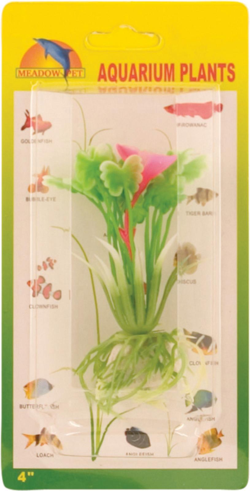 Butterflyt plant plastic