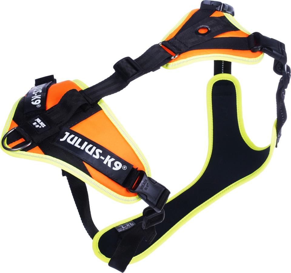 Mantrailing/Outdoor harness
