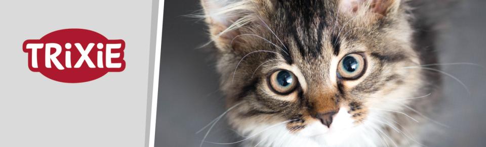 Magnet skilt t. Tego reol kat