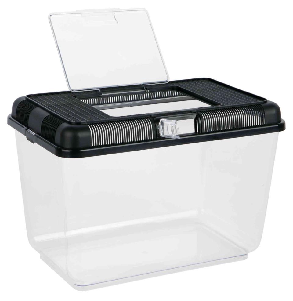 Transport and Feeding Box