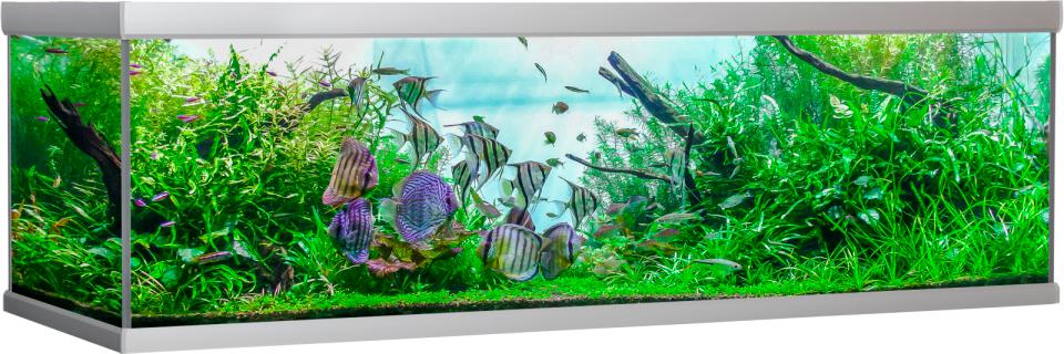 AkvaStabil FUSION akvarium