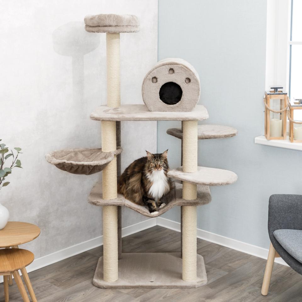 Fabiola Scratching Post