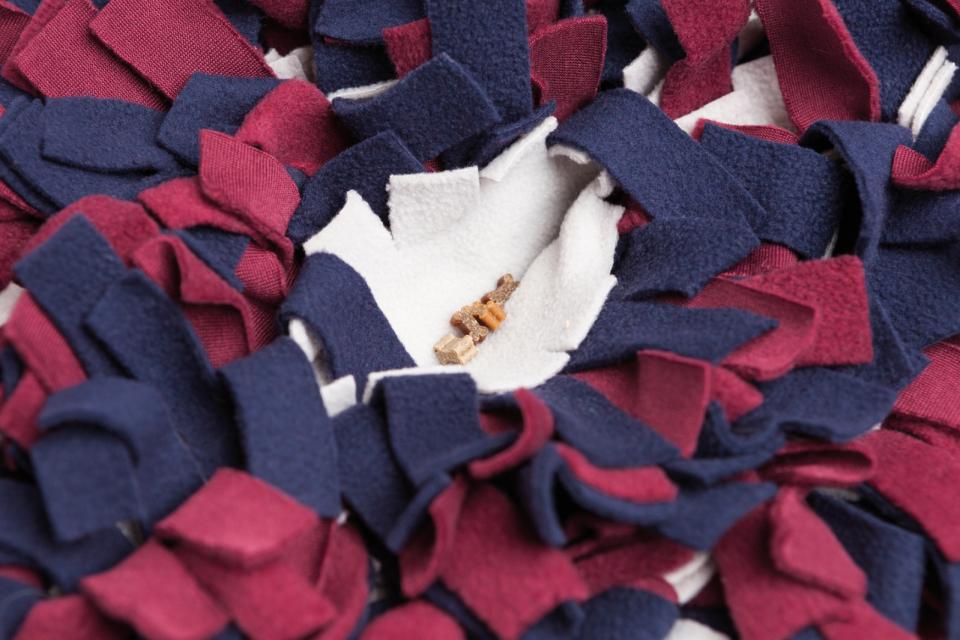 Schnüffelteppich Strategie-Spiel