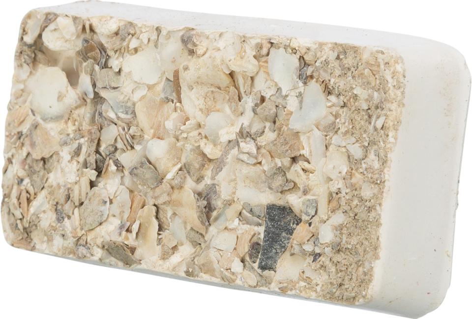 Pecking stone with seashells