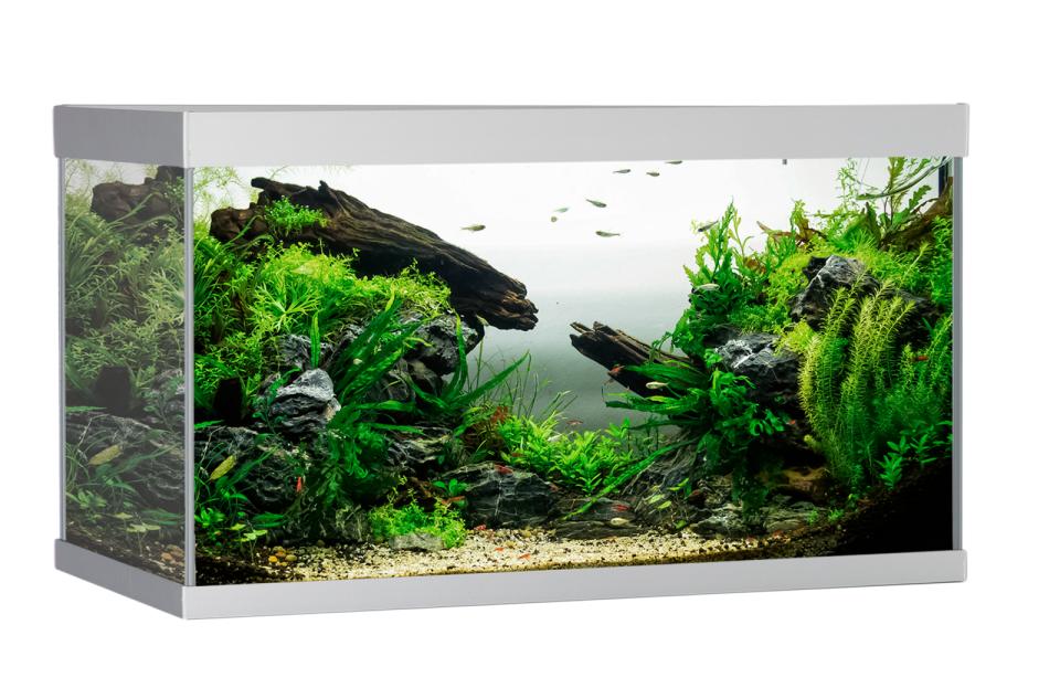 AkvaStabil ELEMENT Aquarium
