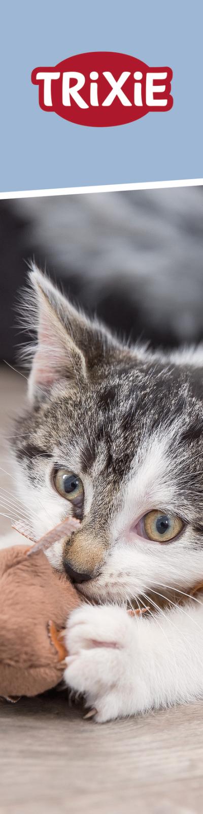 Banner kattelegetøj