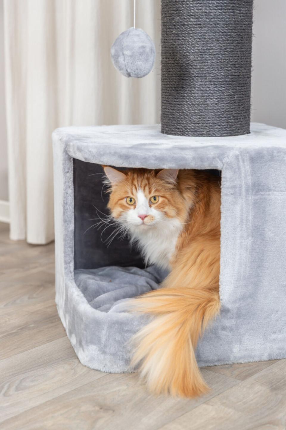 Trixie Ava II kattetræ XXL