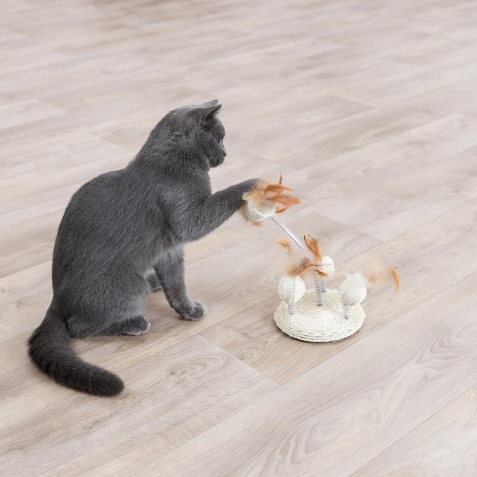 Luffa-Spielzeug auf Spiralfedern, Sisal