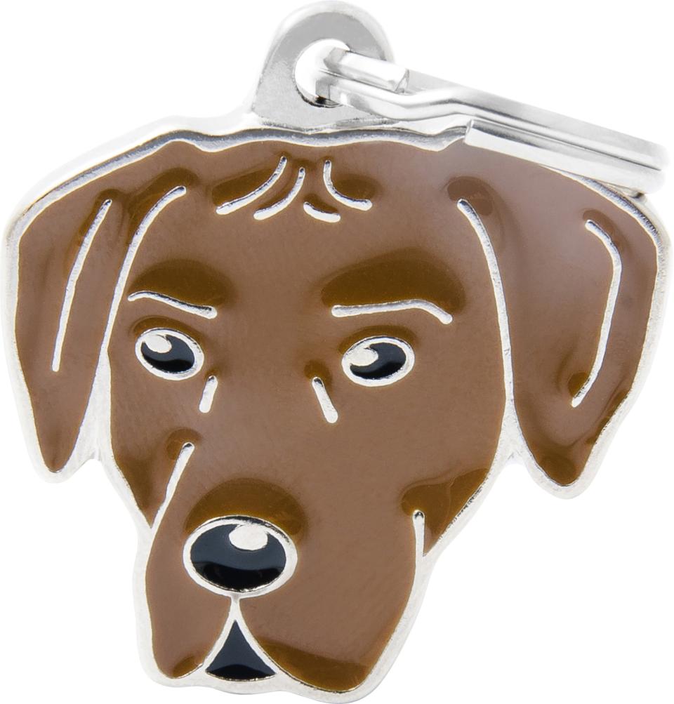 MyFamily Friends, Rhodesian ridgeback