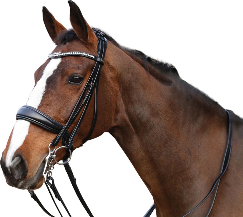 HorseGuard Ergo double bridle w/reins
