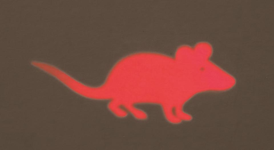 LED pointer Catch the light, mus