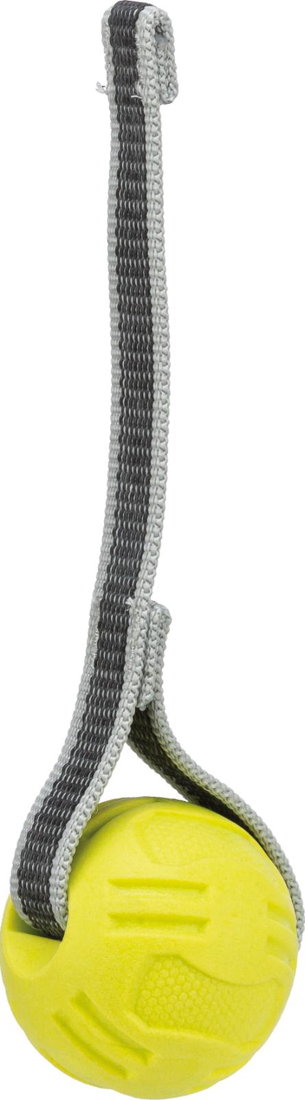 Ball on a Strap for Dogs