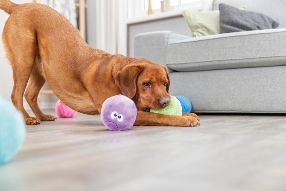 Trixie ball, plush