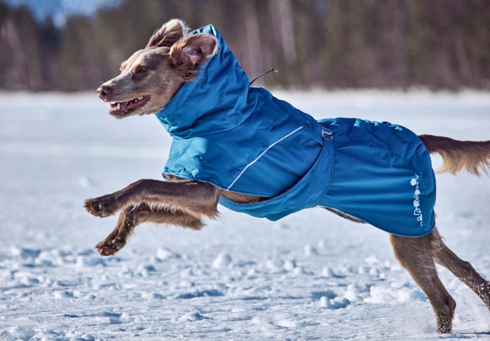 Hurtta Extreme Warmer III ECO