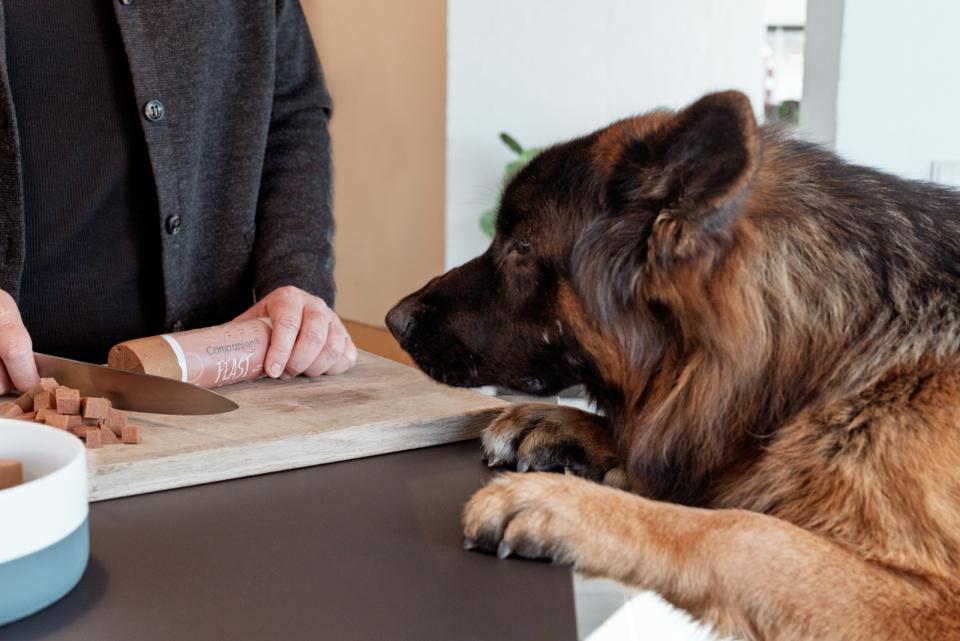 Companion+ FEAST foderpølse til hunde, Hjort