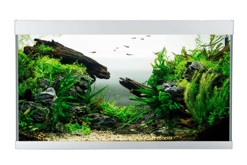 AkvaStabil ELEMENT Aquarium
