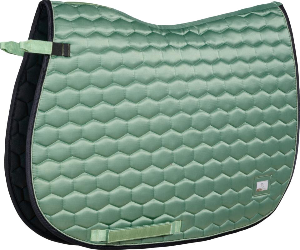 Horse Guard Kora schabrak