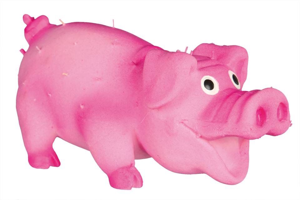 Dog Toy Bristle Pig