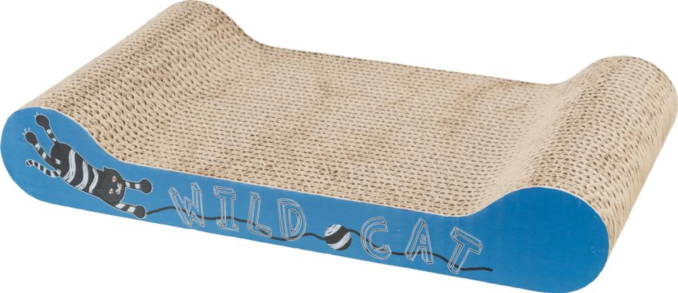 Wild Cat Scratching Cardboard