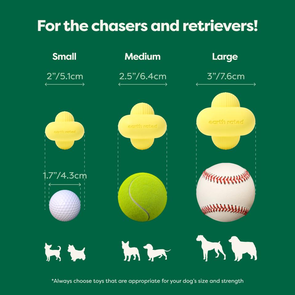 Earth Rated Fetch-leksak, gummi