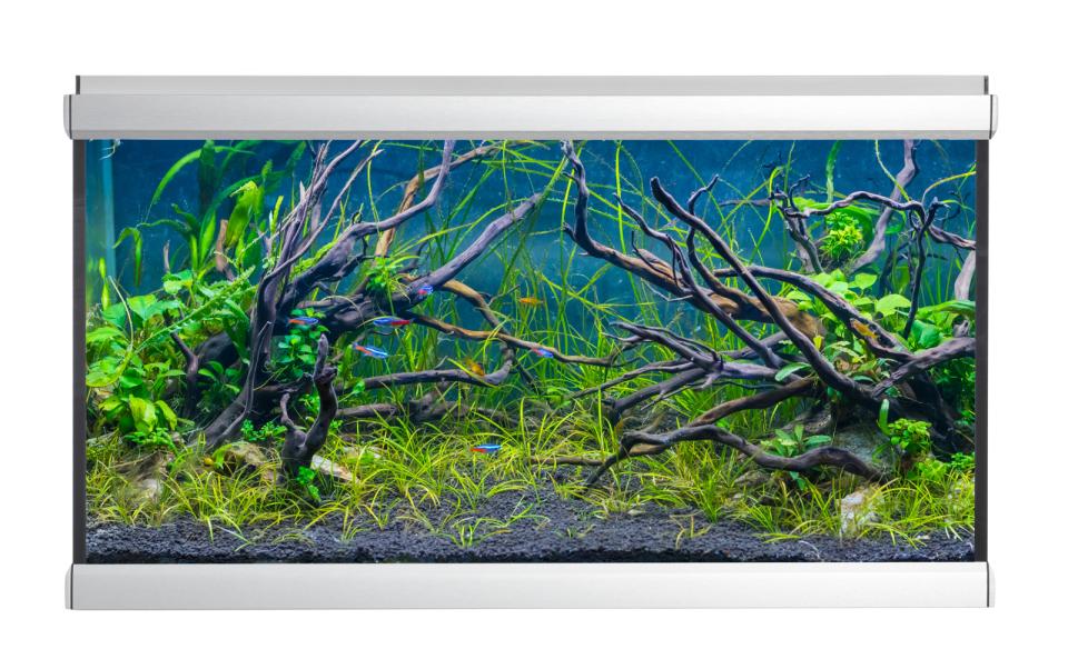 AkvaStabil MOVE aquarium - 275 liters