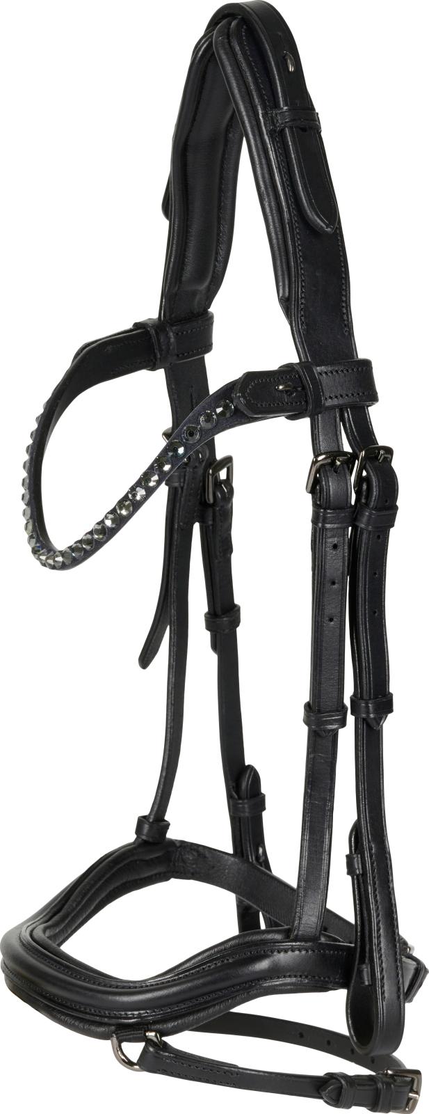 CATAGO Runa icelandic bridle