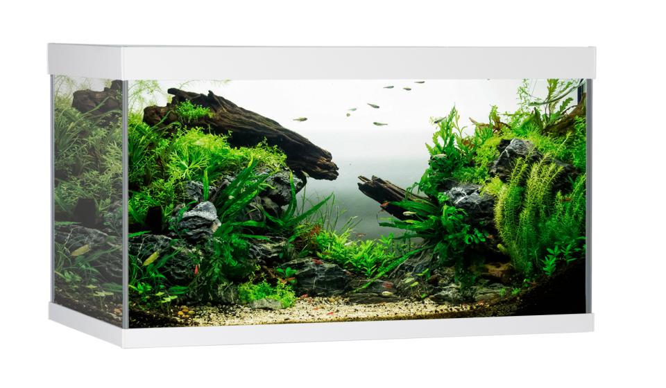 AkvaStabil ELEMENT Aquarium