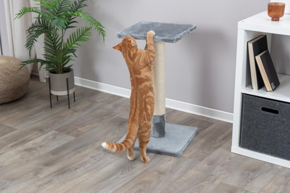 Baena scratching post