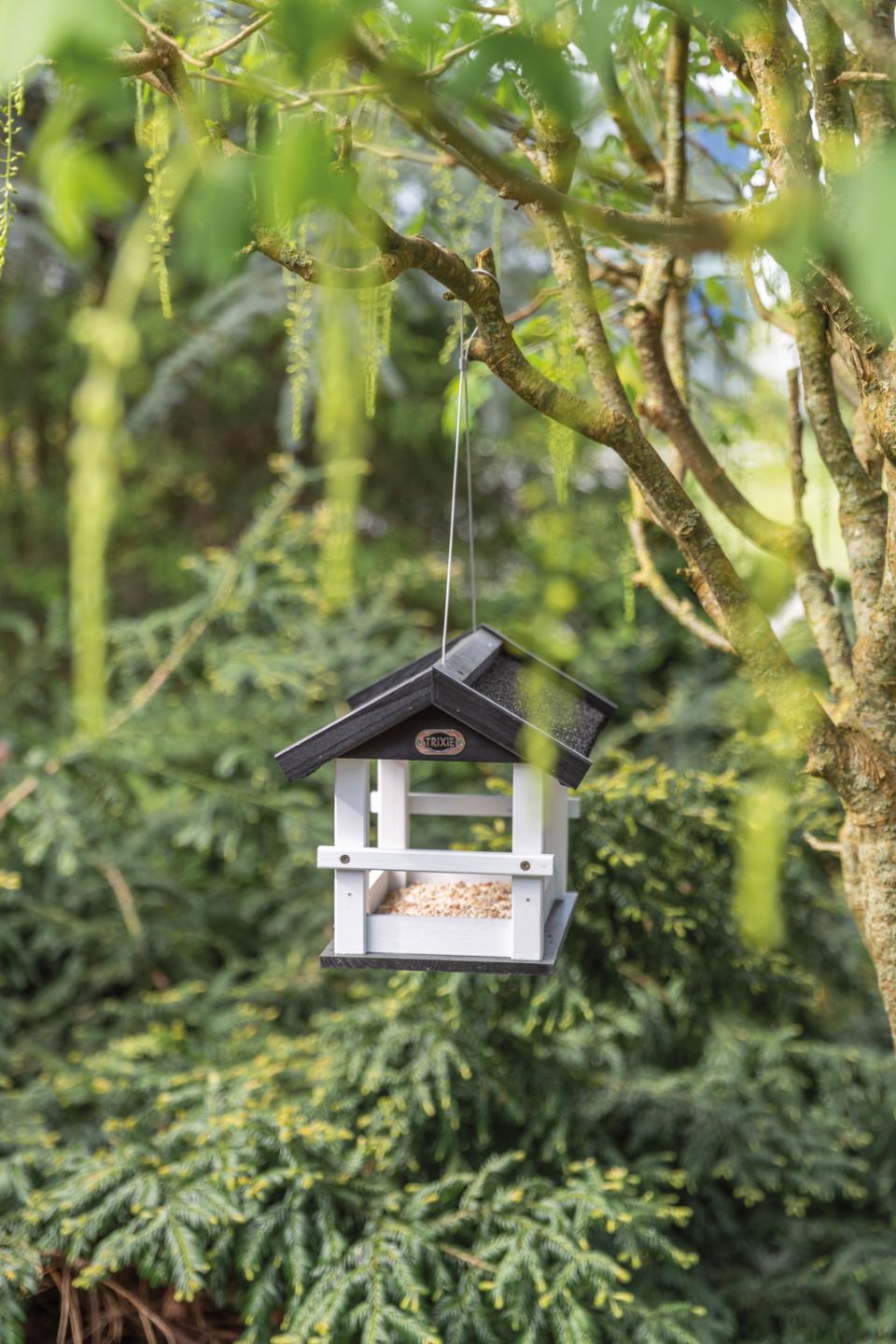 Trixie Bird Feeder for hanging