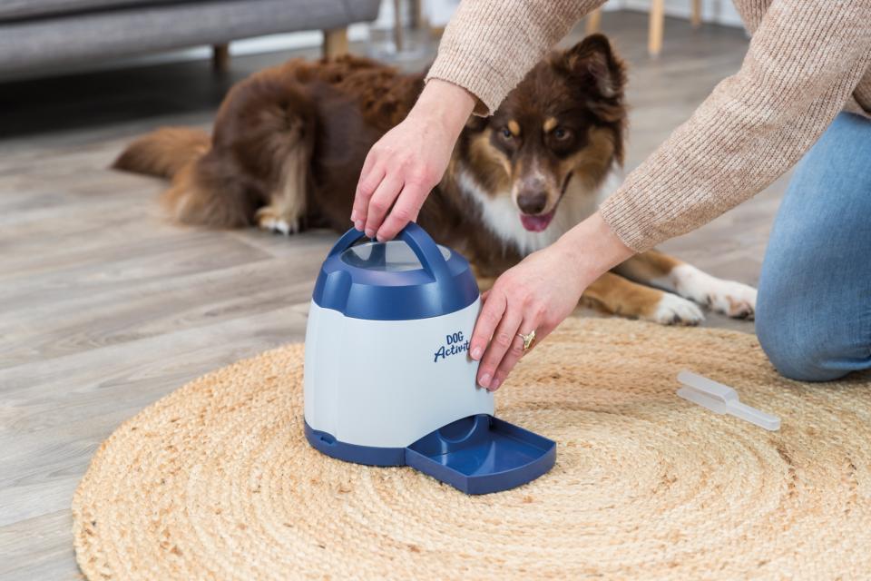 Memory Trainer Aktivitetsleksak