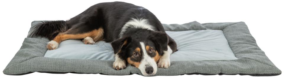 Trixie Viviana liggemåtte