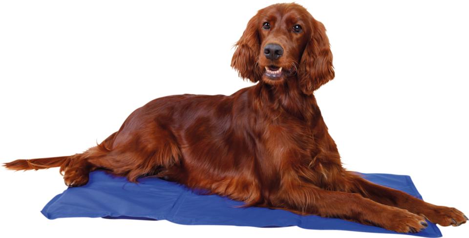 Jolly Paw Kølemåtte